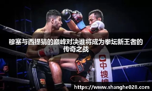 穆塞与西提猜的巅峰对决谁将成为拳坛新王者的传奇之战