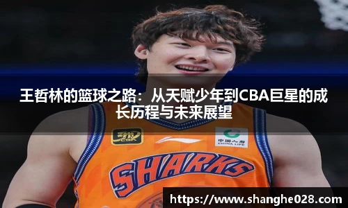 王哲林的篮球之路：从天赋少年到CBA巨星的成长历程与未来展望